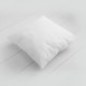 Picture of Inner Pillow and Cushion Pillow