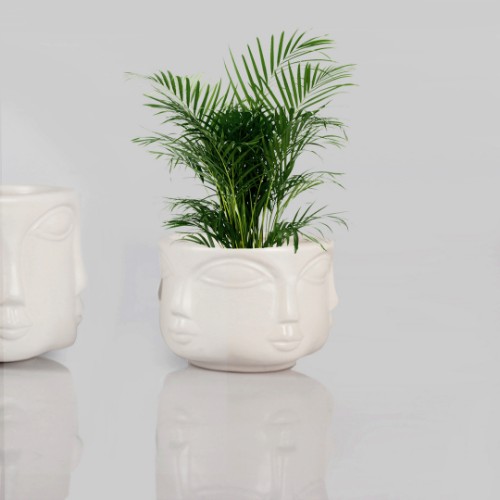 Picture of Havelka Decorative Pot Small Size - White