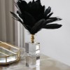 Picture of Crystal Feather Accessory Black Gold 