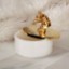 Picture of Pierre Horse White Marble Box With Lid - 17x9 cm